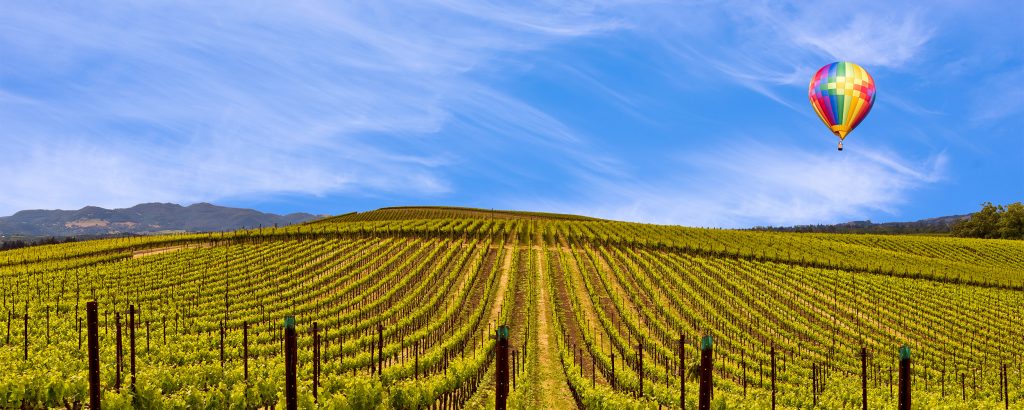 sonoma california wine country